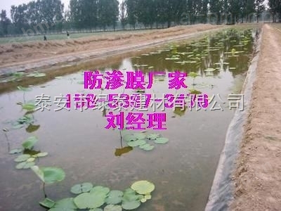 锦州防水橡胶布%藕塘纤维布/大连防渗膜厂家供应
