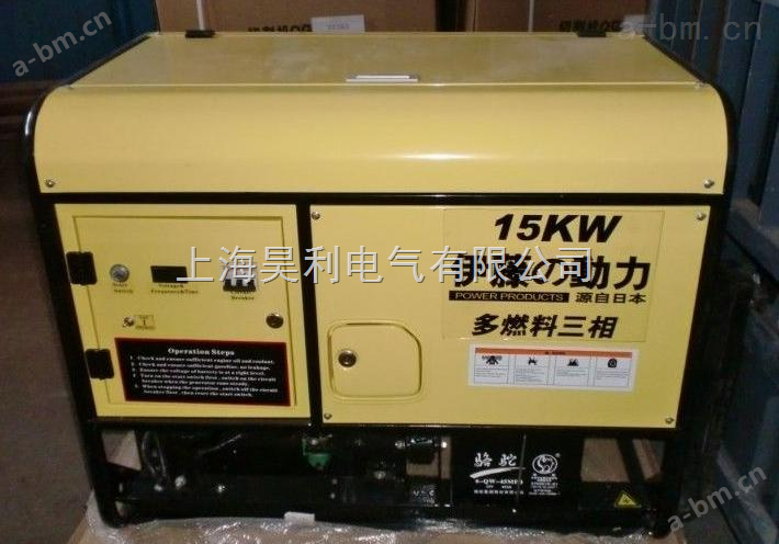 15KW*汽油发电机-液化气发电机YT15GFJ